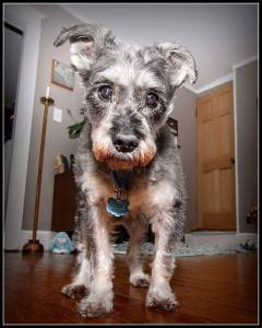 Noogy Butter - January 2015